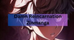 Damn Reincarnation Zinmanga