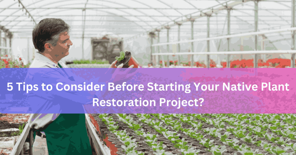 5 Tips to Consider Before Starting Your Native Plant Restoration Project