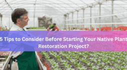 5 Tips to Consider Before Starting Your Native Plant Restoration Project