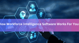 How Workforce Intelligence Software Works For You