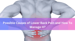 Possible Causes of Lower Back Pain and How To Manage It